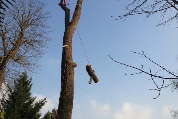 Démontage avec rétention à Bischheim