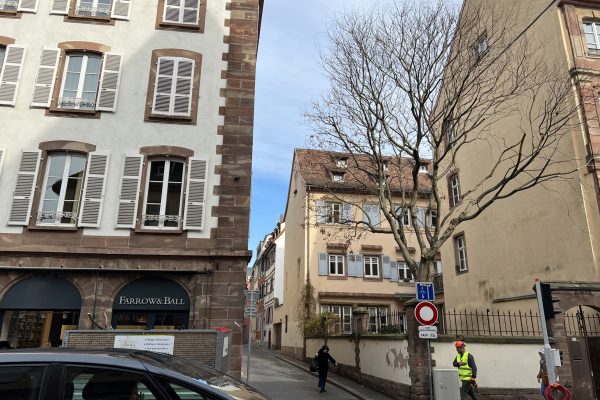 Taille de cohabitation et réhausse de couronne sur un savonnier