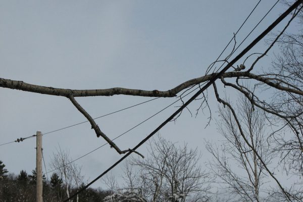 branche d'arbre cassé sur ligne electrique