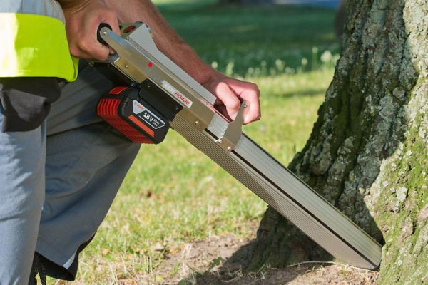 Expertises Sondage aux résistographe sur la ville Haguenau.