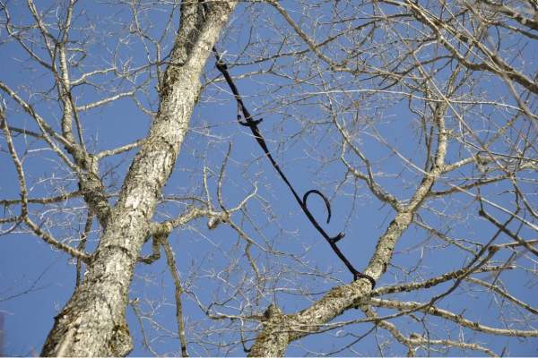 Urgence branche menaçante